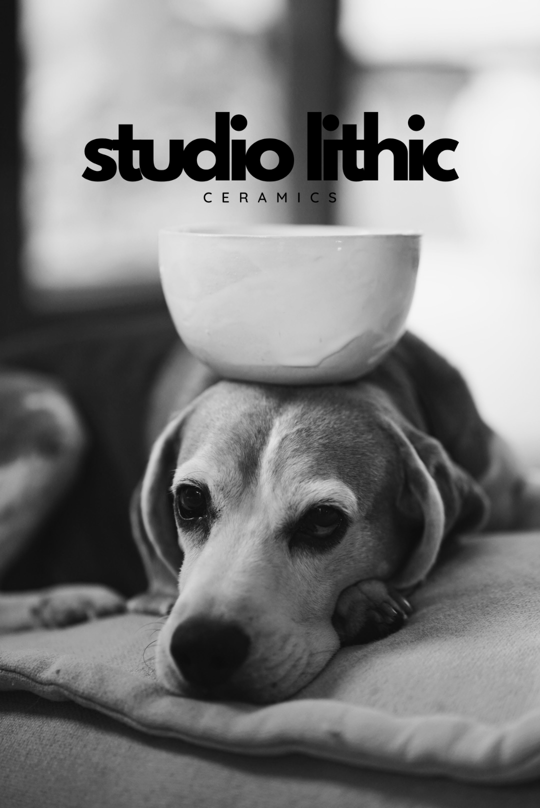 Black and white image of a beagle dog with a ceramic bowl on its head and a text logo overlay. 